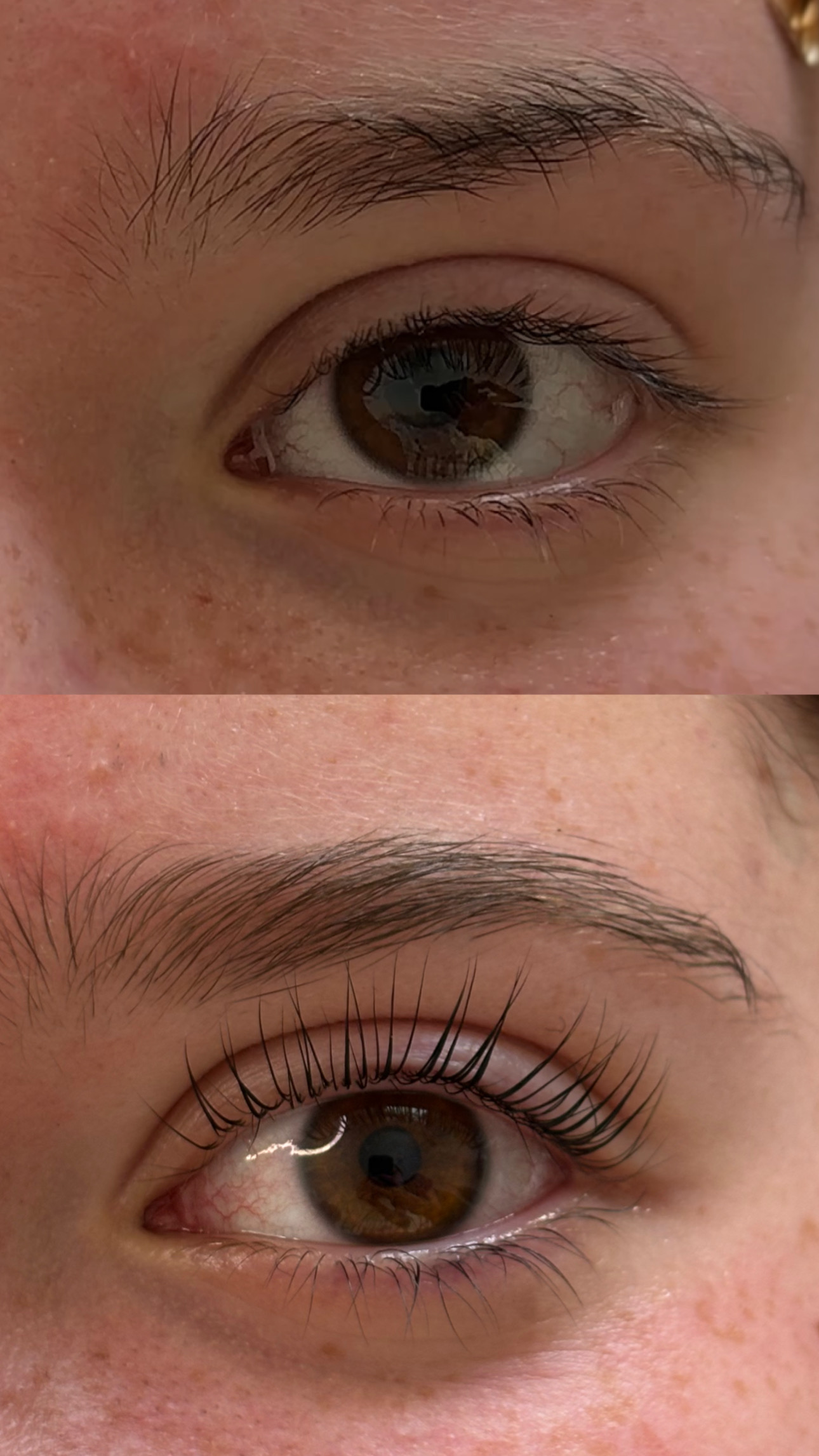 6C73BCEC-BC6D-4D94-BAC2-31D169407E0F